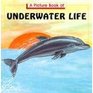 A Picture Book of Underwater Life (Picture Book of)