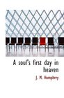 A soul's first day in heaven