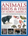 Animals Birds  Fish of North America the Illustrated Encyclopedia of A Natural History and Identification Guide to the Captivating Indigenous Wildlife  and Canada