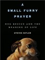 A Small Furry Prayer Dog Rescue and the Meaning of Life