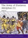 The Army of Gustavus Adolphus  Infantry
