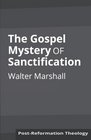 The Gospel Mystery of Sanctification