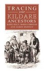 Guide to Tracing Your Kildare Ancestors