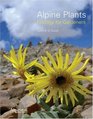 Alpine Plants Ecology for Gardners  2007 publication