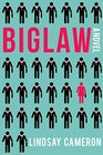 BIGLAW: A Novel