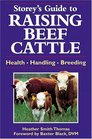 A Guide to Raising Beef Cattle