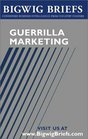 Bigwig Briefs Guerrilla Marketing  The Best of Guerrilla Marketing  Marketing on a Shoestring Budget