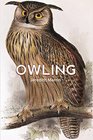 Owling