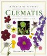 Clematis And the Renunculaceae