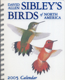 Sibley's Birds of North America 2005 Calendar