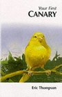 How to Care for Your Canary
