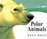 Polar Animals