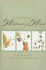 A Guide to Wildflowers in Winter  Herbaceous Plants of Northeastern North America