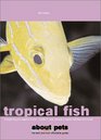 Tropical Fish Everything You Need to Know  Nutrition Care Behavior Health Habitats and More