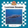 Lantern Sharks
