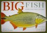 Big Fish World Record Catches 2010 Wall Calendar