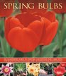 Spring Bulbs An Illustrated Guide To Varieties Cultivation And Care With StepByStep Instructions And Over 160 Inspirational Photographs