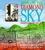 Beneath the Diamond Sky Haight Ashbury 196570
