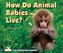How Do Animal Babies Live