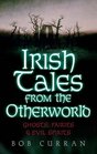 Irish Tales from the Other World