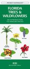 Florida Trees  Wildflowers An Introduction to Familiar Species