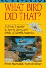 What Bird Did That A Driver's Guide to Some Common Birds of North America