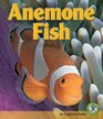 Anemone Fish (Early Bird Nature Books)
