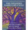 The Expanded Family Life Cycle Individual Family and Social Perspectives