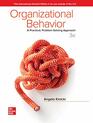 Organizational Behavior A Practical ProblemSolving Approach