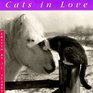 Cats In Love