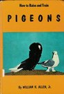 How to Raise  Train Pigeons