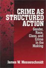 Crime as Structured Action  Gender Race Class and Crime in the Making