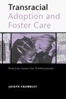 Transracial Adoption and Foster Care Practice Issues for Professionals