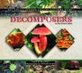 Decomposers in the Food Chain