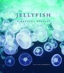 Jellyfish A Natural History