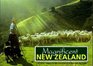 Magnificent New Zealand A Journey Through the Country