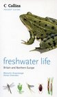 Freshwater Life Britain and Northern Europe