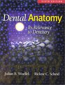 Dental Anatomy Its Relevance to Dentistry
