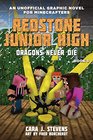 Dragons Never Die Redstone Junior High 3