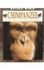 Chimpanzee Habitats Life Cycles Food Chains Threats