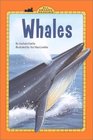 Whales (All Aboard Reading. Station Stop 2)