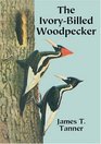 The IvoryBilled Woodpecker