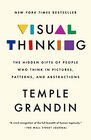 Visual Thinking The Hidden Gifts of People Who Think in Pictures Patterns and Abstractions