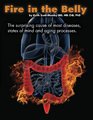 Fire In The Belly The Surprising Cause of Most Diseases States Of Mind and Aging Processes