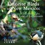 Favorite Birds of New Mexico Treasures of the Land of Enchantment
