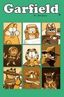 Garfield Vol 9 His Nine Lives