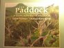 The Paddock A Story in Praise of the Earth