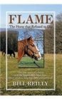 Flame  The Horse That Refused to Die