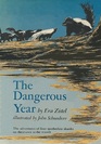 The Dangerous Year