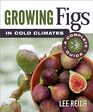 Growing Figs in Cold Climates A Complete Guide